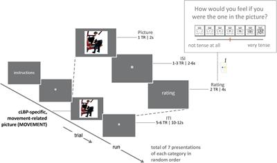 Exposure in vivo Induced Changes in Neural Circuitry for Pain-Related Fear: A Longitudinal fMRI Study in Chronic Low Back Pain